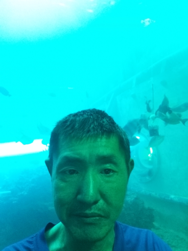 陸戰隊的第一张照片--高雄残疾人相亲网
